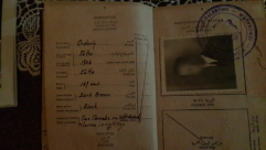 بالصور: جواز سفر يعود تاريخه لعام 1934 لمواطن من مدينة يافا 